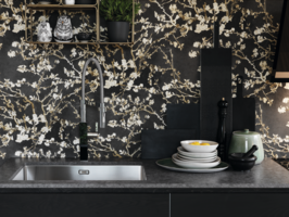 Kuhinjska-korita/BXX-210110-68-ROCNO-KORITO-FRANKE_1