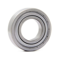 LEZAJI-3/LEZAJ-6004-2Z-SKF-BOX