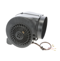 MOTORJI-2/MOTOR-NAPE-BSH-00743004