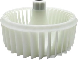 RAZNO-60/51jYJdf97IL._AC_UF8941000_QL80_