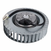 RAZNO-62/61WGPdEO6ML