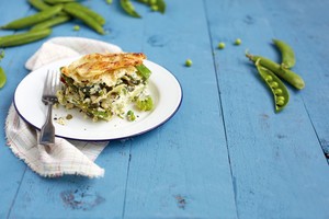 novo-uvozeni-izdelki/19709688gruene_gemueselasagne_mit_pesto-ricotta_quer_master_F39_def