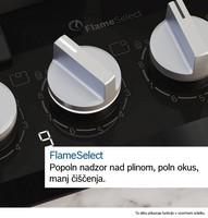 novo-uvozeni-izdelki/26405439_FHI_BO_SV_FlameSelect_sl-SI-1