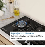 novo-uvozeni-izdelki/26405945_FHI_BO_SV_BiomethaneReady_sl-SI-2